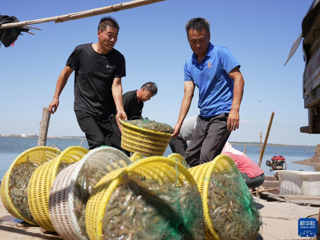 全民捕鱼下载